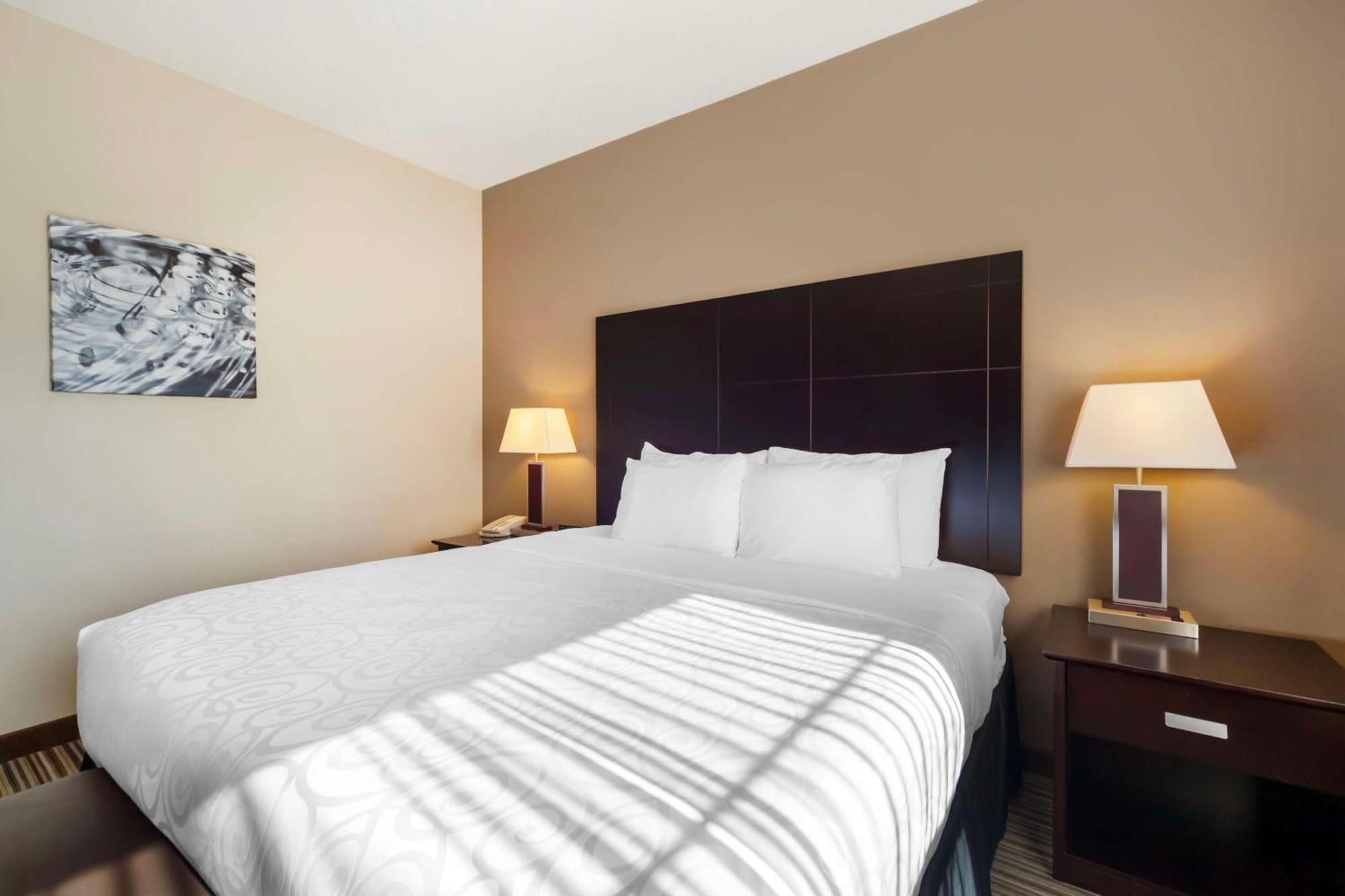 Best Western Plus Peace River Hotel & Suites Luaran gambar